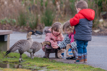 Hand-feeding WWT.jpg